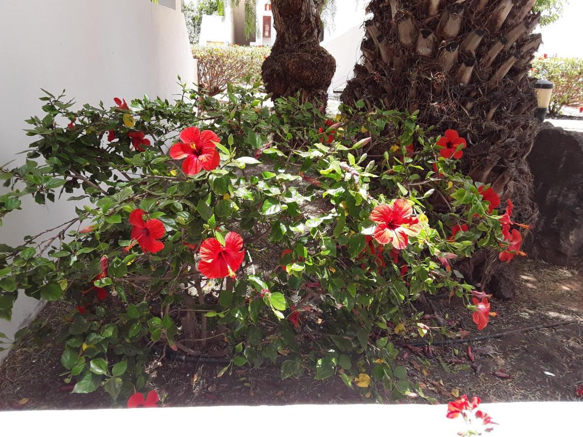 Le Parisien Apartment Costa Teguise Exterior photo
