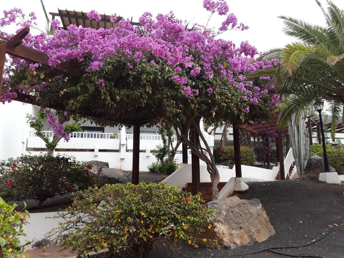 Le Parisien Apartment Costa Teguise Exterior photo